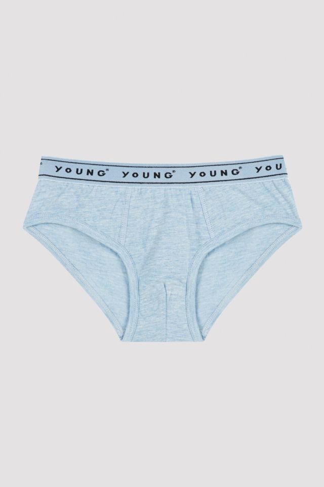 Basic 4 Slip Panties