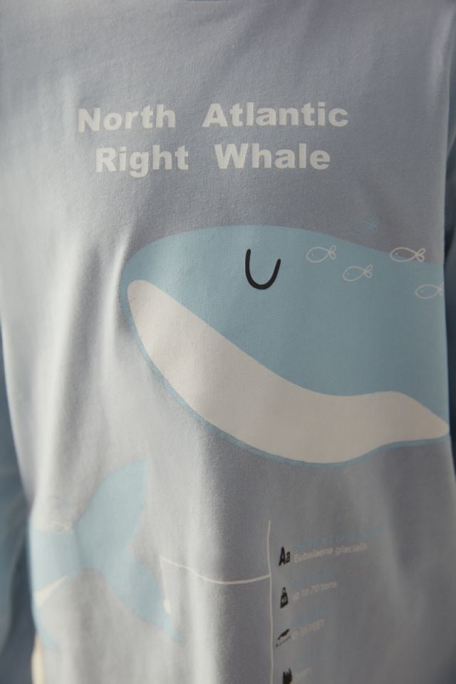 Çok Renkli B.right Whale Pijama Takımı