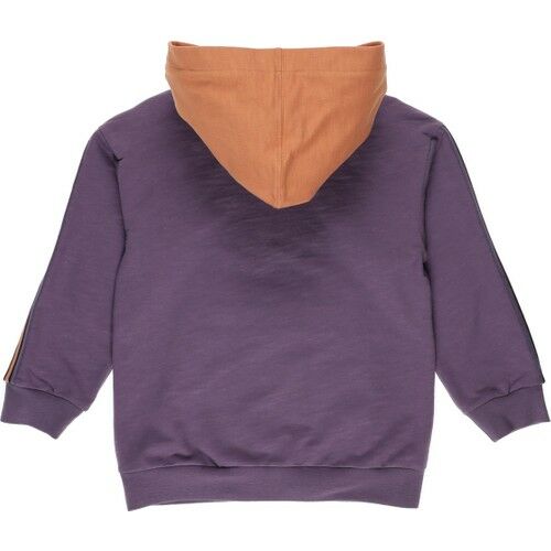 Boy's Hooded Printed Stripe Detailed Sweatshirt
