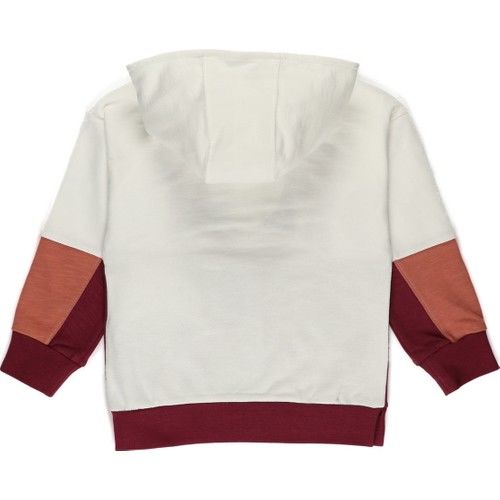 Erkek Çocuk Kapüşonlu Sweatshirt