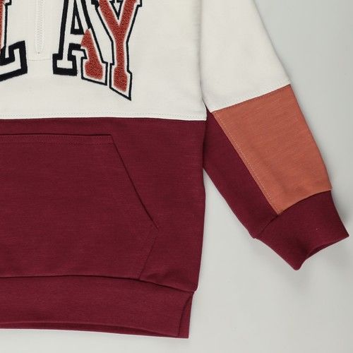 Erkek Çocuk Kapüşonlu Sweatshirt