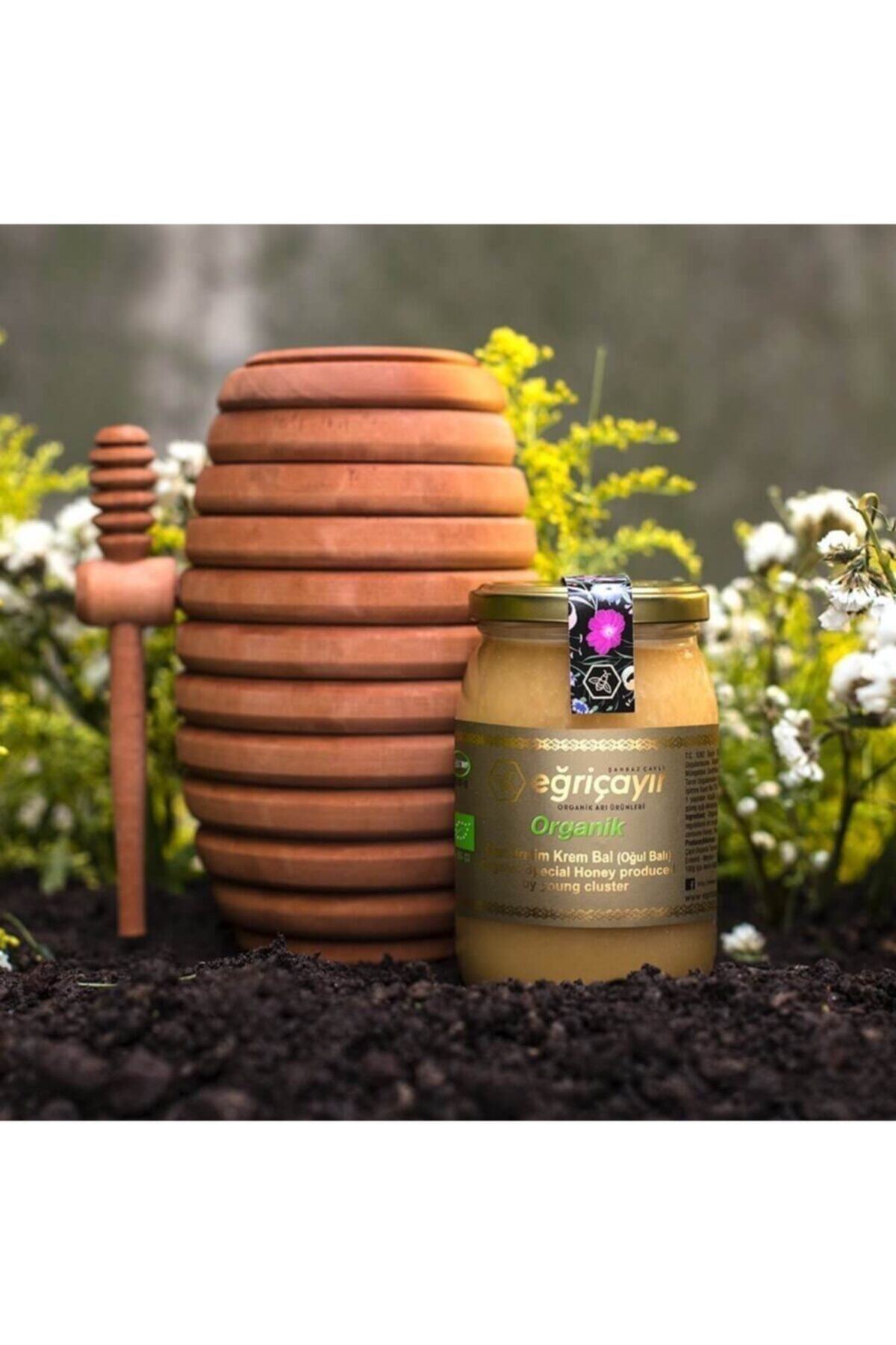 Organic Son Honey 450 Gr