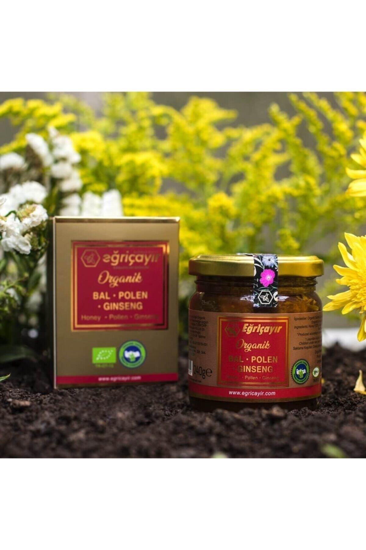 Organik Bal Polen Ginseng Karışımı 240 G