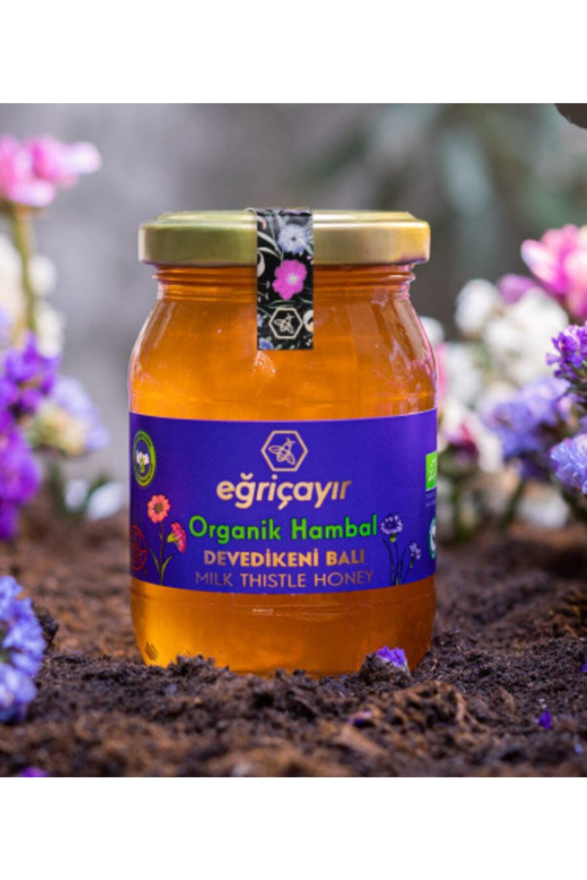Organik Devedikeni Balı 225 Gr