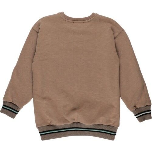 Erkek Çocuk Sweatshirt