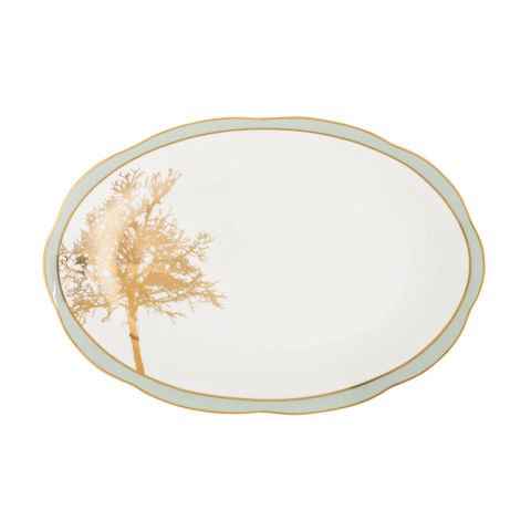 Jumbo Daphne 61 Piece Bone Dinner Set for 12 Persons