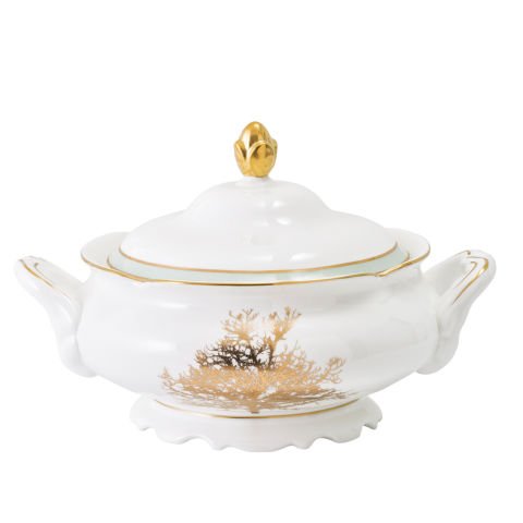Jumbo Daphne 61 Piece Bone Dinner Set for 12 Persons