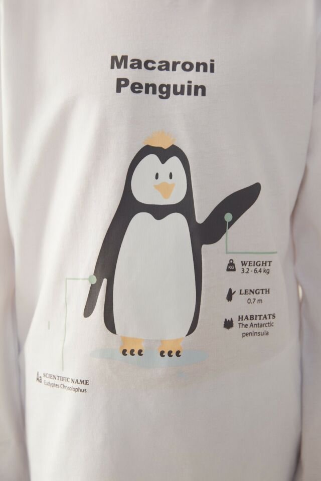 Multi Colored U.macaroni Penguin Pajamas Set