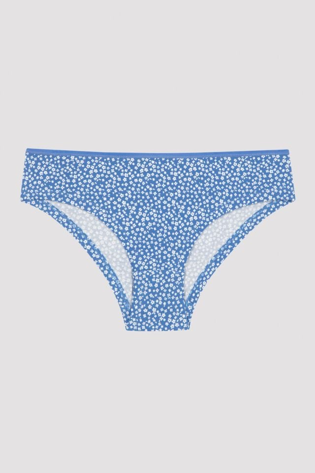 Çok Renkli Blue Lovely Day 3lü Hipster Külot
