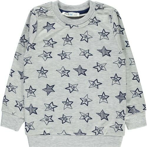 Erkek Çocuk Sweatshirt 2-5 Yaş Gri