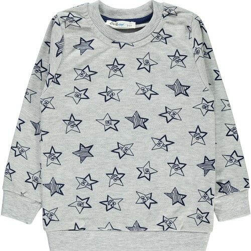 Erkek Çocuk Sweatshirt 2-5 Yaş Gri