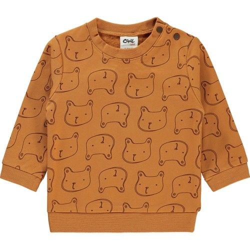 Erkek Bebek Sweatshirt 6-18 Ay Bakır Rengi