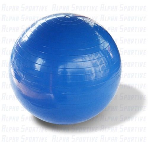 ALPHA AS-015 55 CM PILATES BALL